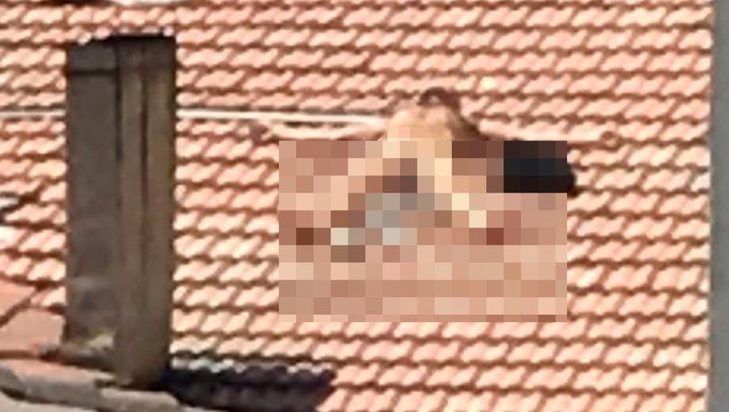 اعتقال شخص يأخذ حماماً شمسيا وهو عار على سطح منزل في بوردور التركية.