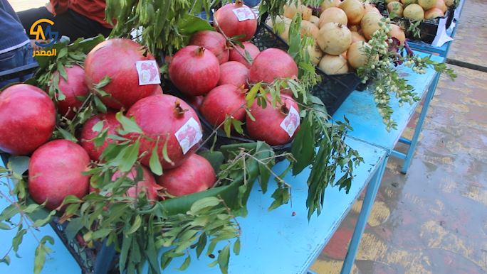 مهرجان الرمان.. فعالية سنوية تقام لعرض المنتجات من رمان وفاكهة موسمية