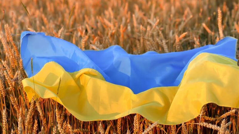 الإعلان عن تمديد اتفاق تصدير الحبوب الأوكرانية .