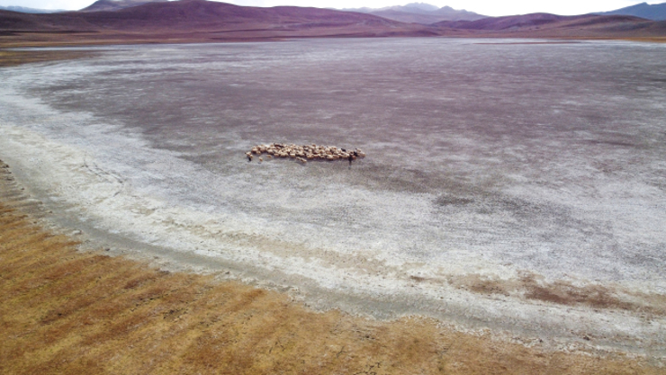 الجفاف يصيب بحيرة الملح في ولاية فان التركية.