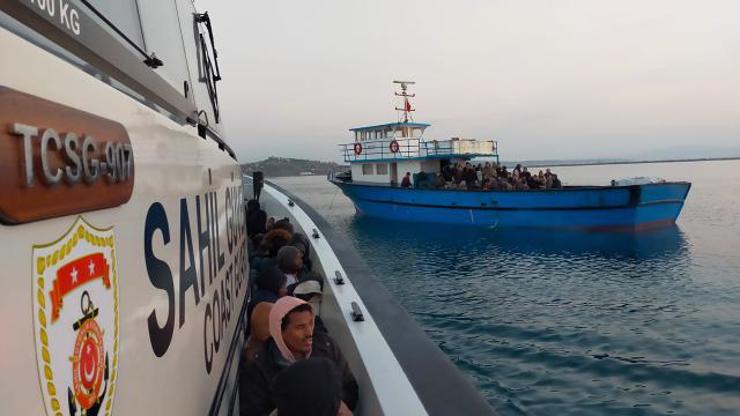 القبض على مهاجرين غير نظاميين قبالة سواحل إيفاليك التركية .